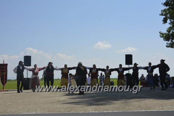 alexandriamou.gr_trikala28.5.2018041